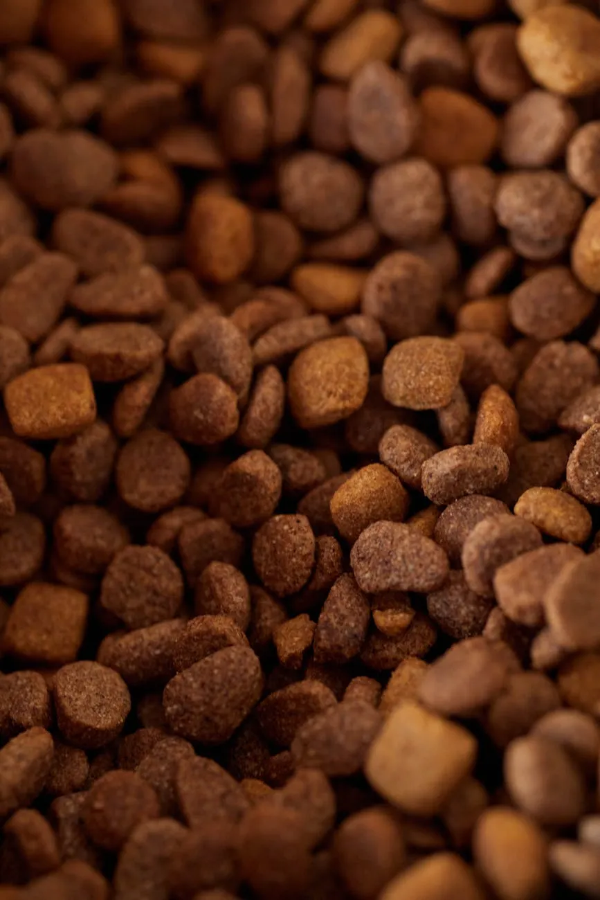 Croquette Royal Canin
