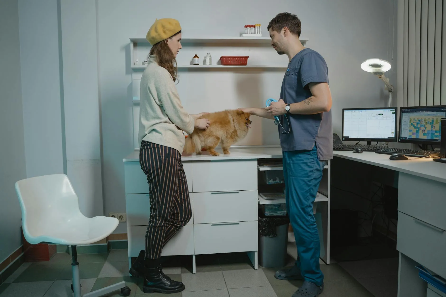 Maître et chien complices